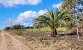 2 lotes de 7500 m²